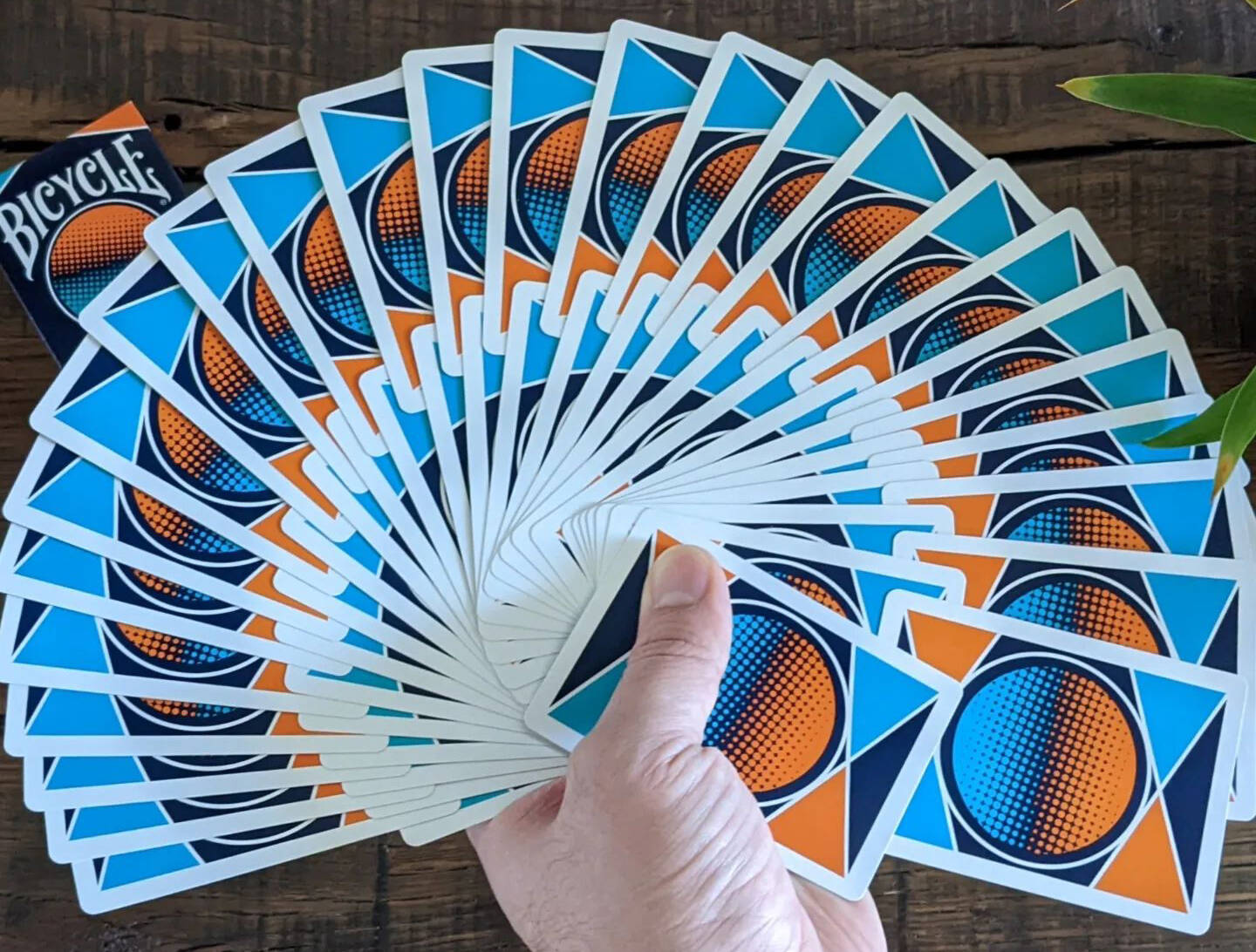 Giant fan of the Bicycle Amplified Playing Cards
